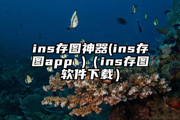 ins存图神器(ins存图app )(ins存图软件下载)