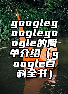 googlegooglegoogle的简单介绍（google百科全书）