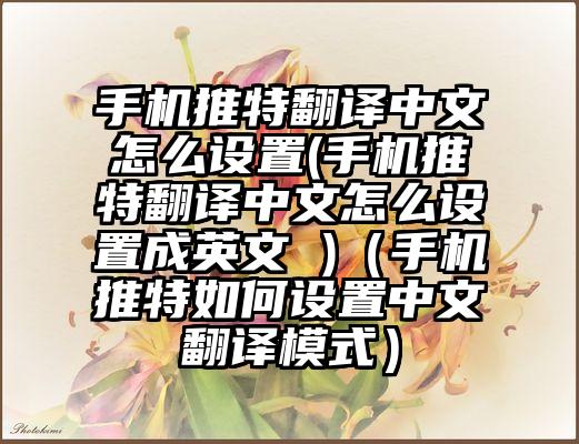 手机推特翻译中文怎么设置(手机推特翻译中文怎么设置成英文 )（手机推特如何设置中文翻译模式）