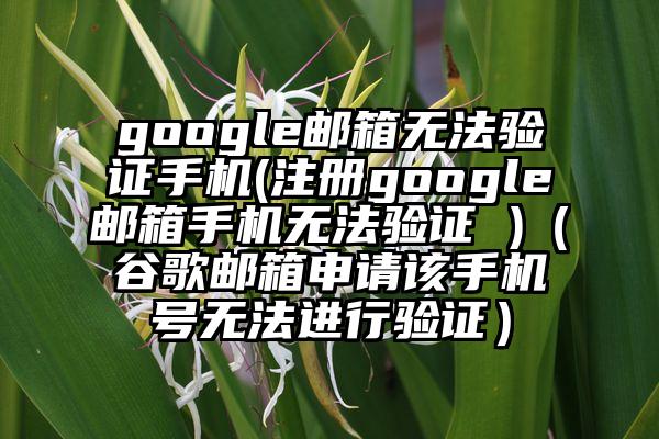 google邮箱无法验证手机(注册google邮箱手机无法验证 )（谷歌邮箱申请该手机号无法进行验证）
