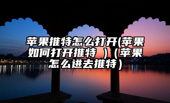 苹果推特怎么打开(苹果如何打开推特 )（苹果怎么进去推特）