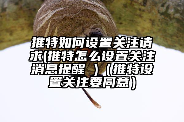 推特如何设置关注请求(推特怎么设置关注消息提醒 )（推特设置关注要同意）