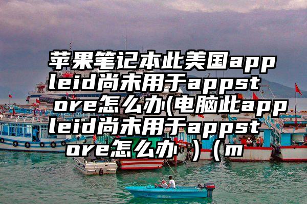 苹果笔记本此美国appleid尚未用于appstore怎么办(电脑此appleid尚未用于appstore怎么办 )（m