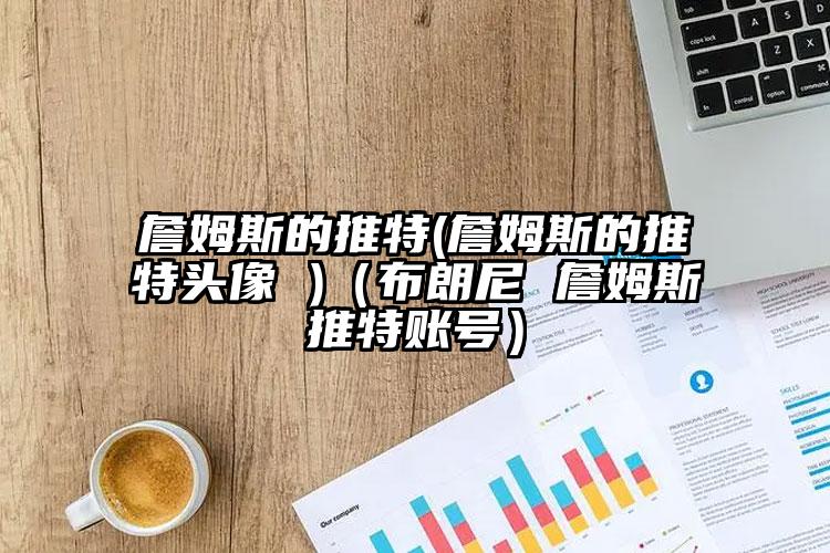 詹姆斯的推特(詹姆斯的推特头像 )（布朗尼 詹姆斯推特账号）