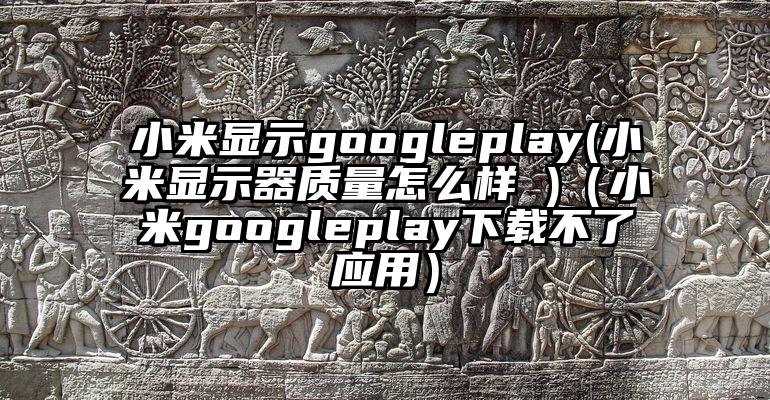 小米显示googleplay(小米显示器质量怎么样 )（小米googleplay下载不了应用）