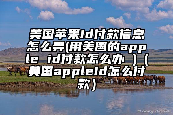 美国苹果id付款信息怎么弄(用美国的apple id付款怎么办 )（美国appleid怎么付款）