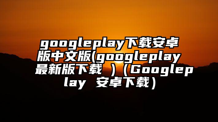 googleplay下载安卓版中文版(googleplay最新版下载 )(Googleplay 安卓下载)