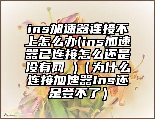ins加速器连接不上怎么办(ins加速器已连接怎么还是没有网 )（为什么连接加速器ins还是登不了）