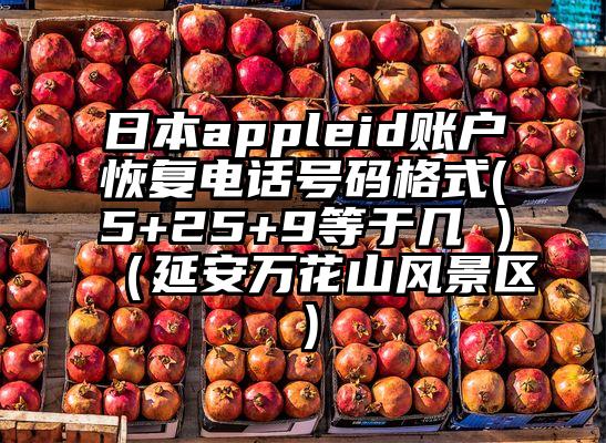 日本appleid账户恢复电话号码格式(5+25+9等于几 )（延安万花山风景区）
