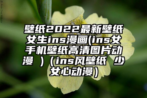 壁纸2022最新壁纸女生ins漫画(ins女手机壁纸高清图片动漫 )（ins风壁纸 少女心动漫）