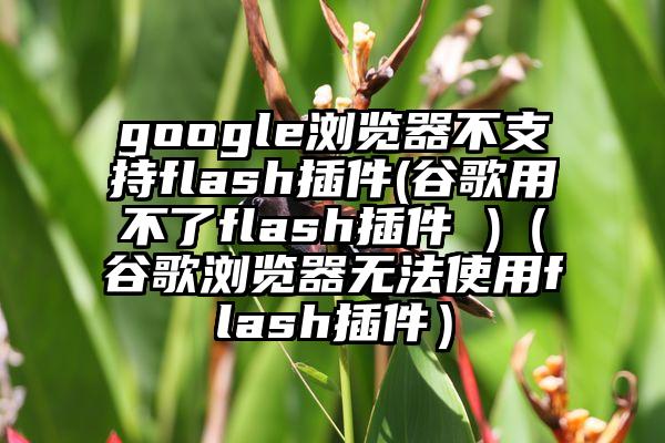 google浏览器不支持flash插件(谷歌用不了flash插件 )（谷歌浏览器无法使用flash插件）