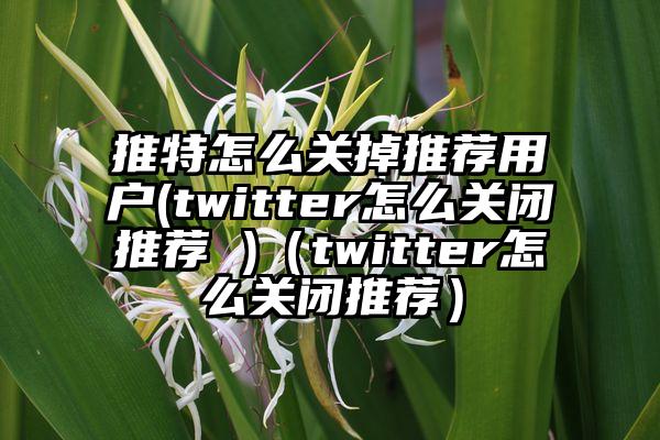 推特怎么关掉推荐用户(twitter怎么关闭推荐 )（twitter怎么关闭推荐）