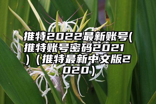 推特2022最新账号(推特账号密码2021 )（推特最新中文版2020）