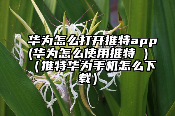 华为怎么打开推特app(华为怎么使用推特 )（推特华为手机怎么下载）