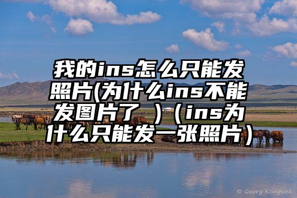我的ins怎么只能发照片(为什么ins不能发图片了 )(ins为什么只能发一张照片)