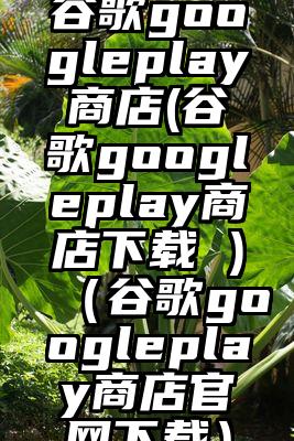 谷歌googleplay商店(谷歌googleplay商店下载 )（谷歌googleplay商店官网下载）