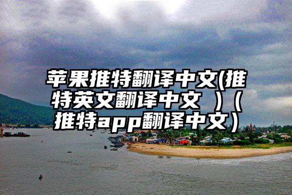 苹果推特翻译中文(推特英文翻译中文 )(推特app翻译中文)