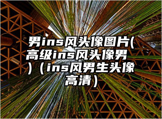 男ins风头像图片(高级ins风头像男 )（ins风男生头像高清）