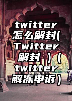 twitter怎么解封(Twitter 解封 )（twitter解冻申诉）
