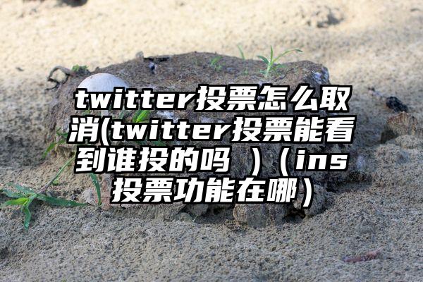 twitter投票怎么取消(twitter投票能看到谁投的吗 )（ins投票功能在哪）
