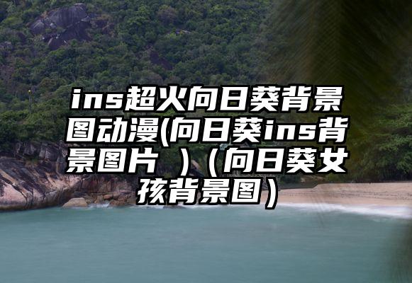 ins超火向日葵背景图动漫(向日葵ins背景图片 )（向日葵女孩背景图）