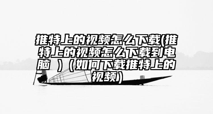 推特上的视频怎么下载(推特上的视频怎么下载到电脑 )(如何下载推特上的视频)