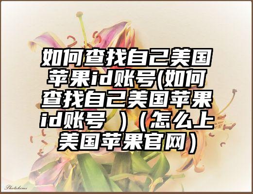 如何查找自己美国苹果id账号(如何查找自己美国苹果id账号 )（怎么上美国苹果官网）