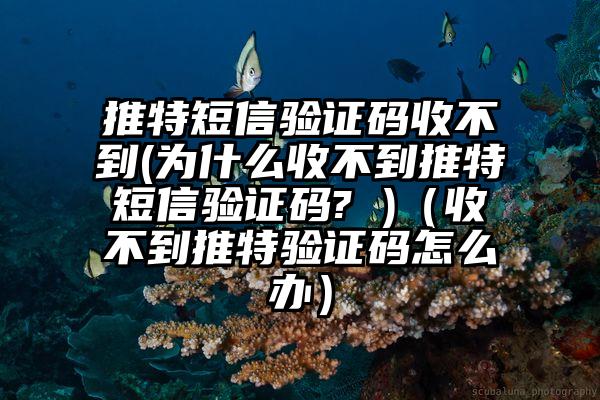 推特短信验证码收不到(为什么收不到推特短信验证码? )（收不到推特验证码怎么办）