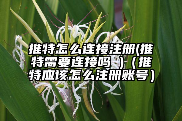 推特怎么连接注册(推特需要连接吗 )（推特应该怎么注册账号）