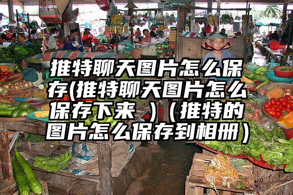 推特聊天图片怎么保存(推特聊天图片怎么保存下来 )（推特的图片怎么保存到相册）