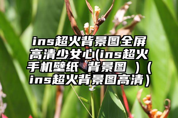 ins超火背景图全屏高清少女心(ins超火手机壁纸 背景图 )（ins超火背景图高清）