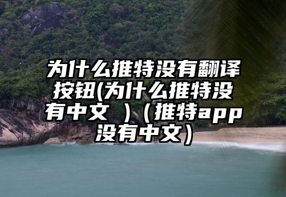 为什么推特没有翻译按钮(为什么推特没有中文 )（推特app没有中文）