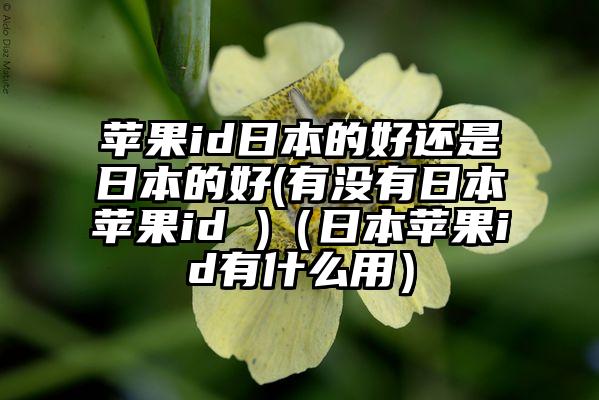 苹果id日本的好还是日本的好(有没有日本苹果id )（日本苹果id有什么用）