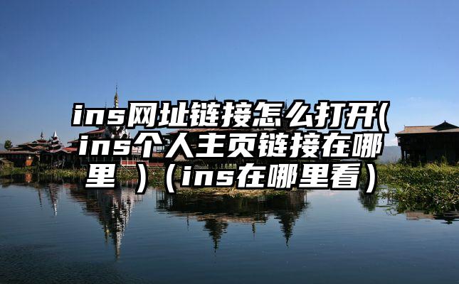 ins网址链接怎么打开(ins个人主页链接在哪里 )（ins在哪里看）
