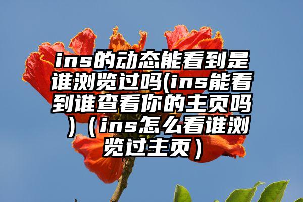 ins的动态能看到是谁浏览过吗(ins能看到谁查看你的主页吗 )（ins怎么看谁浏览过主页）