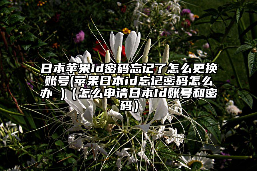 日本苹果id密码忘记了怎么更换账号(苹果日本id忘记密码怎么办 )(怎么申请日本id账号和密码)