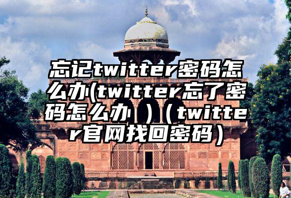 忘记twitter密码怎么办(twitter忘了密码怎么办 )（twitter官网找回密码）