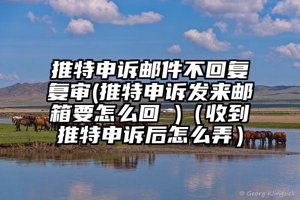 推特申诉邮件不回复复审(推特申诉发来邮箱要怎么回 )（收到推特申诉后怎么弄）