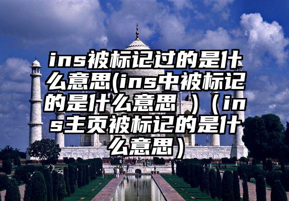 ins被标记过的是什么意思(ins中被标记的是什么意思 )（ins主页被标记的是什么意思）
