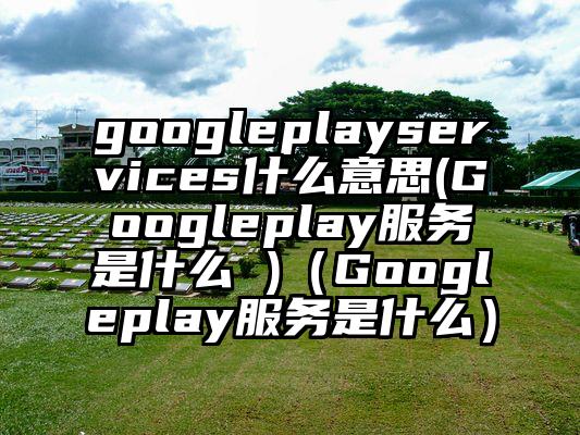 googleplayservices什么意思(Googleplay服务是什么 )（Googleplay服务是什么）