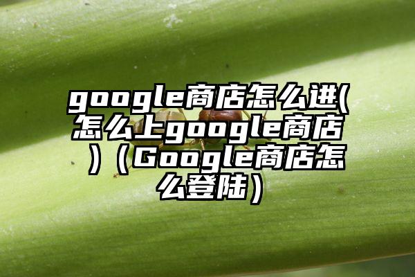 google商店怎么进(怎么上google商店 )（Google商店怎么登陆）