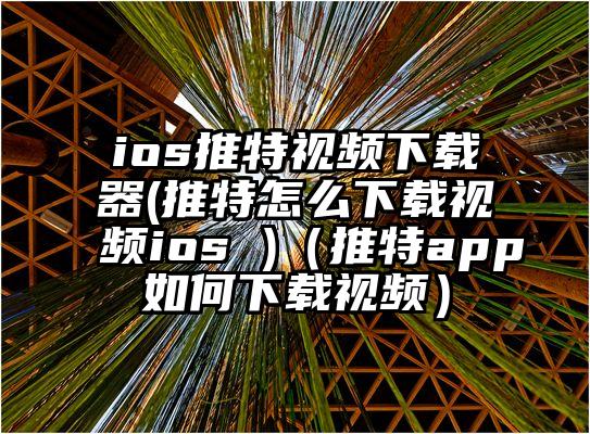 ios推特视频下载器(推特怎么下载视频ios )（推特app如何下载视频）