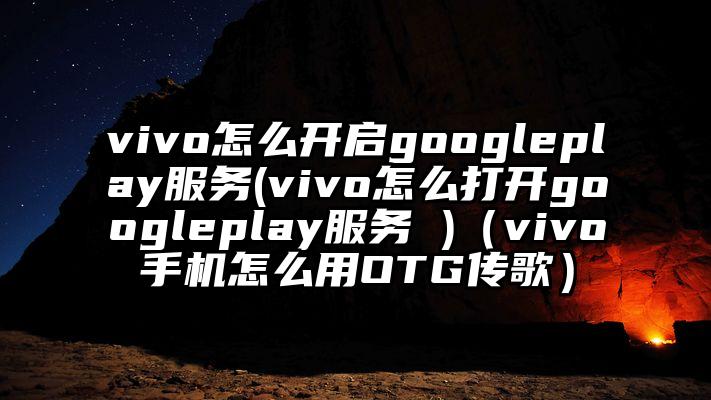 vivo怎么开启googleplay服务(vivo怎么打开googleplay服务 )（vivo手机怎么用OTG传歌）