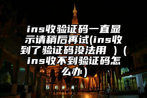 ins收验证码一直显示请稍后再试(ins收到了验证码没法用 )（ins收不到验证码怎么办）