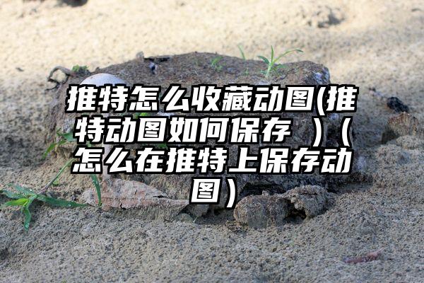 推特怎么收藏动图(推特动图如何保存 )（怎么在推特上保存动图）