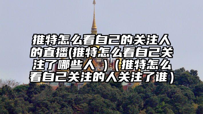 推特怎么看自己的关注人的直播(推特怎么看自己关注了哪些人 )（推特怎么看自己关注的人关注了谁）