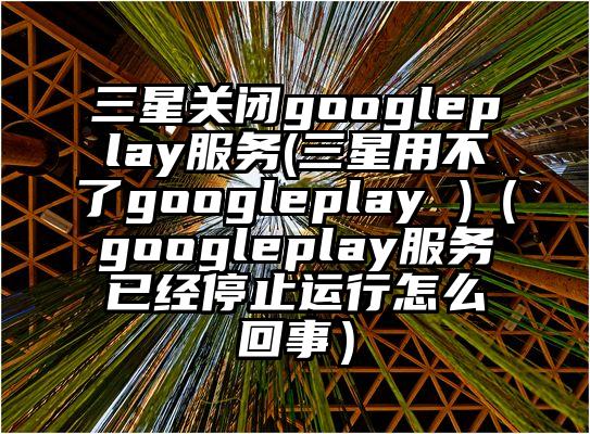 三星关闭googleplay服务(三星用不了googleplay )（googleplay服务已经停止运行怎么回事）