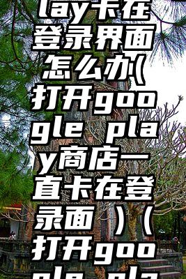googleplay卡在登录界面怎么办(打开google play商店一直卡在登录面 )（打开google play商店