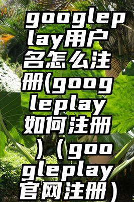 googleplay用户名怎么注册(googleplay如何注册 )（googleplay官网注册）