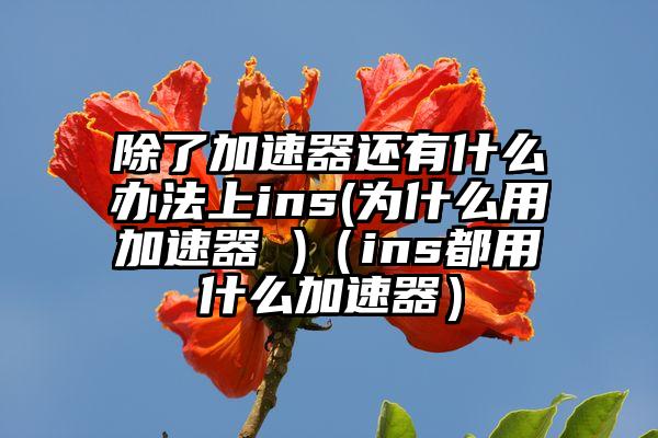 除了加速器还有什么办法上ins(为什么用加速器 )（ins都用什么加速器）